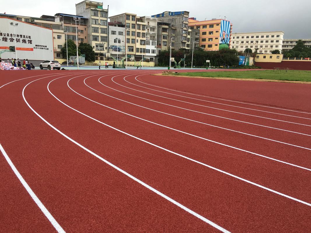 乐东黎族自治县人造草坪塑胶跑道材料 - 方案